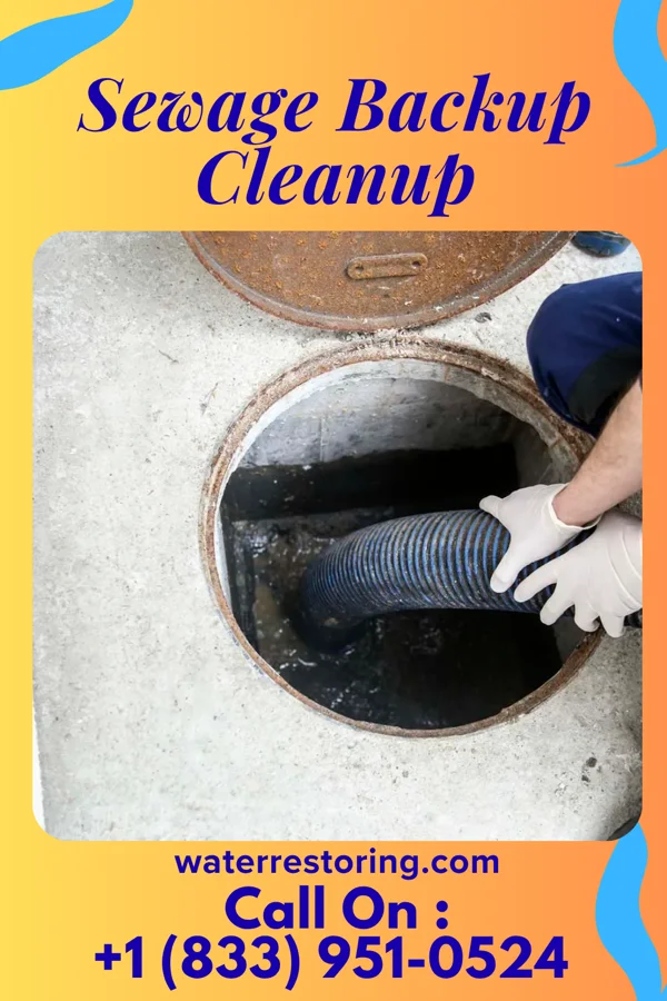 Sewage Backup Cleanup in Algoma, WI